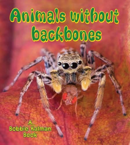 Cover image for Animals without Backbones