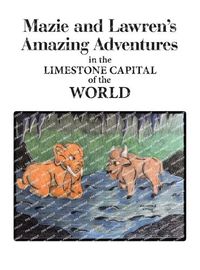 Cover image for Mazie and Lawren's Amazing Adventures