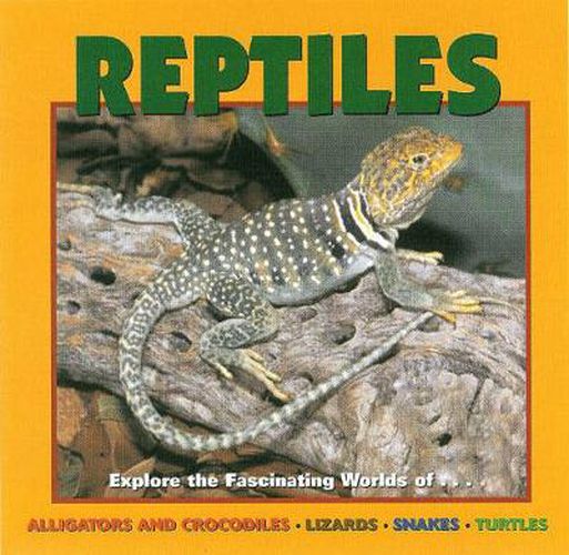 Cover image for Reptiles: Alligators and Crocodiles, Lizards, Snakes and Turtles