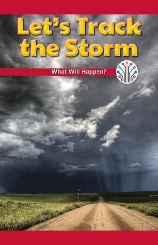 Cover image for Let's Track the Storm: What Will Happen?