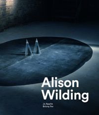 Cover image for Alison Wilding