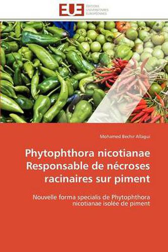 Cover image for Phytophthora Nicotianae Responsable de N Croses Racinaires Sur Piment