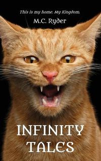 Cover image for Infinity Tales