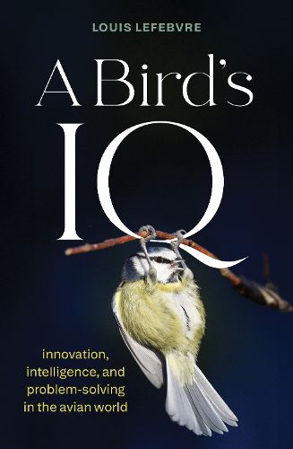 Cover image for A Bird's IQ