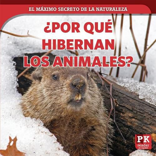 ?Por Que Hibernan Los Animales? (Why Animals Hibernate)