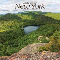 Cover image for New York Wild & Scenic 2020 Square