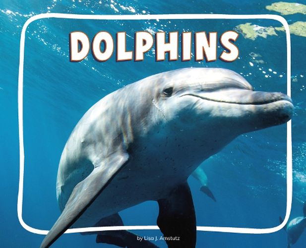 Cover image for Dolphins