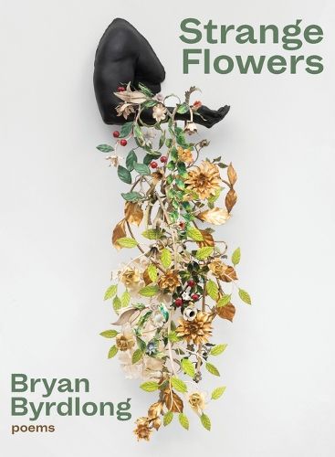 Cover image for Strange Flowers