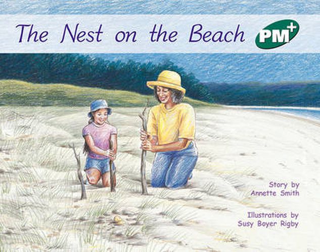 The Nest on the Beach