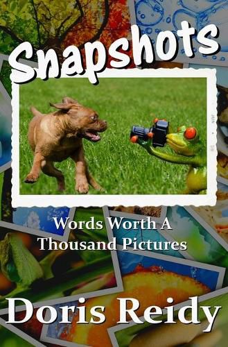 Cover image for Snapshots: Words Worth a Thousand Pictures