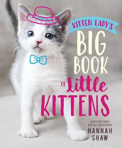 Cover image for Kitten Lady's Big Book of Little Kittens
