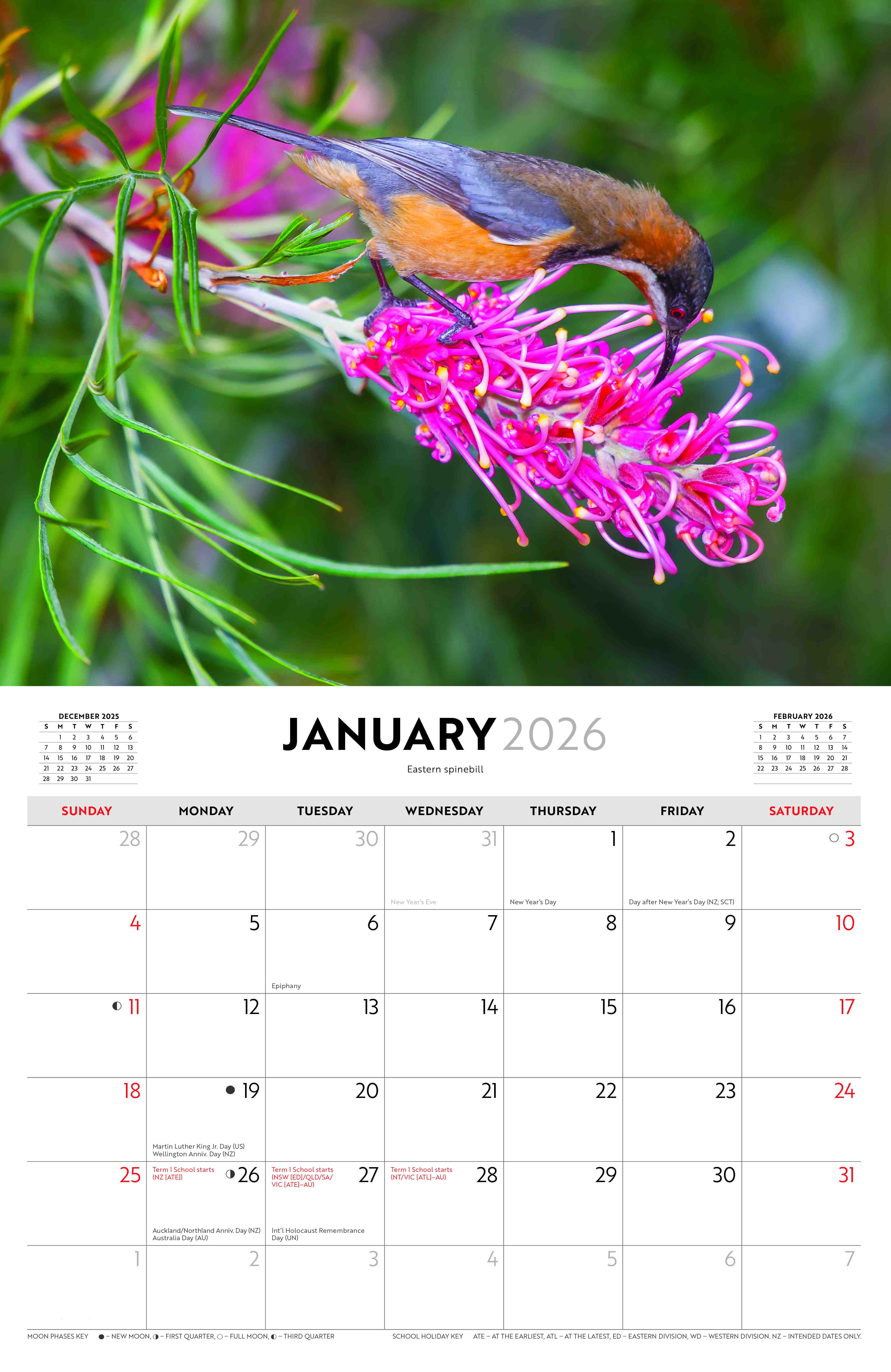 Australian Birds - Steve Parish 2026 Horizontal Calendar