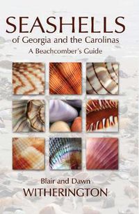 Cover image for Seashells of Georgia and the Carolinas