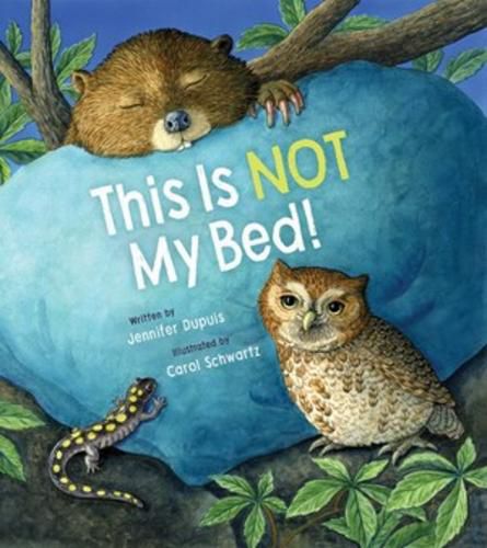 Cover image for This Is Not My Bed!