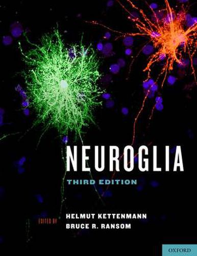 Cover image for Neuroglia