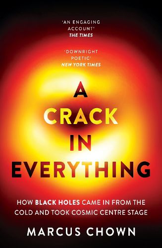 Cover image for A Crack in Everything