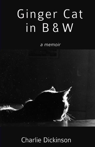 Cover image for Ginger Cat in B & W
