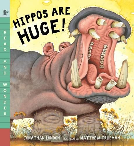 Cover image for Hippos Are Huge!