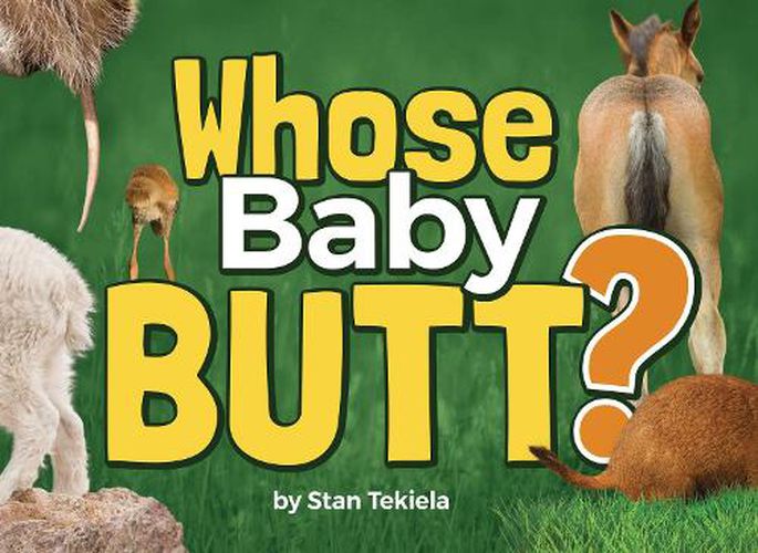 Cover image for Whose Baby Butt?