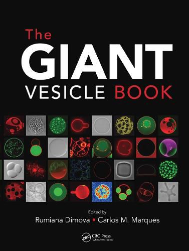 Cover image for The Giant Vesicle Book