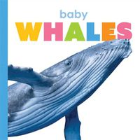 Cover image for Baby Whales