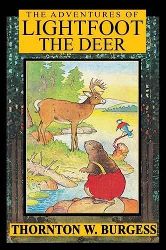 Cover image for The Adventures of Lightfoot the Deer