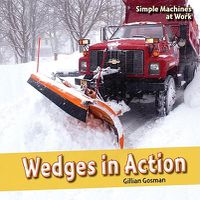 Cover image for Wedges in Action