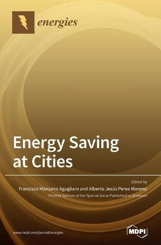 Cover image for Energy Saving at Cities