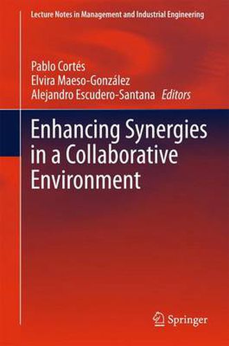 Cover image for Enhancing Synergies in a Collaborative Environment