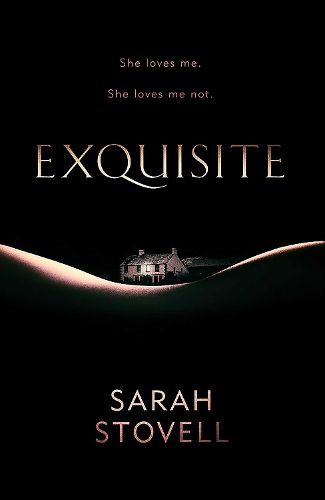 Cover image for Exquisite