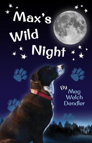 Cover image for Max's Wild Night