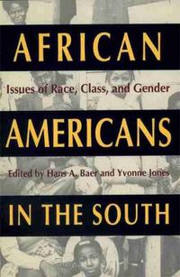 Cover image for African Americans in the South: Issues of Race, Class and Gender