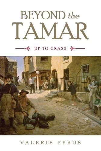 Cover image for Beyond the Tamar