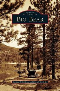 Cover image for Big Bear