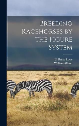 Cover image for Breeding Racehorses by the Figure System