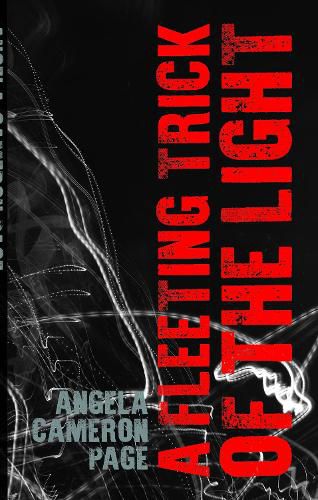 Cover image for A Fleeting Trick of the Light