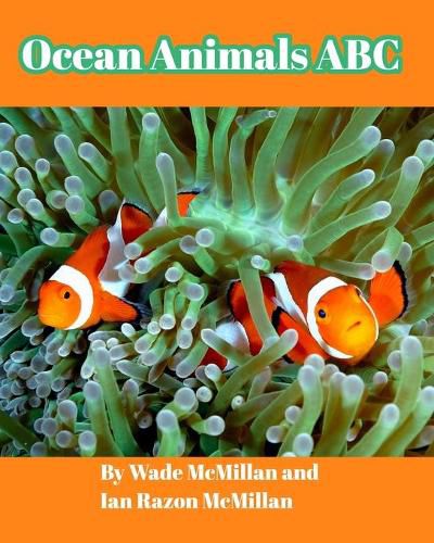 Cover image for Ocean Animals ABC