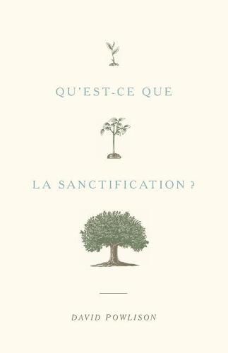 Cover image for Qu'est-ce que la sanctification ?