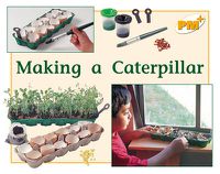 Cover image for Making a Caterpillar