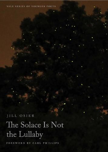 Cover image for The Solace Is Not the Lullaby