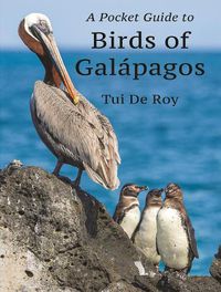 Cover image for A Pocket Guide to Birds of Galapagos