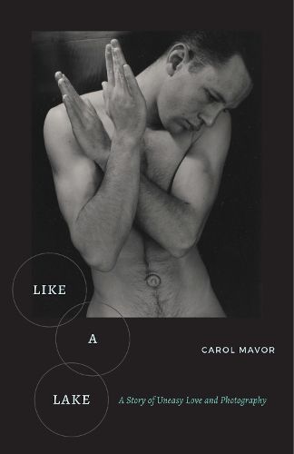 Cover image for Like a Lake