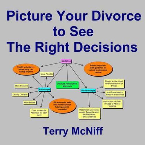 Cover image for Picture Your Divorce to See the Right Decisions