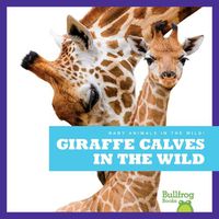 Cover image for Giraffe Calves in the Wild