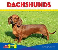 Cover image for Dachshunds