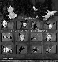 Cover image for Asylum of the Birds