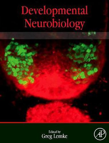 Cover image for Developmental Neurobiology