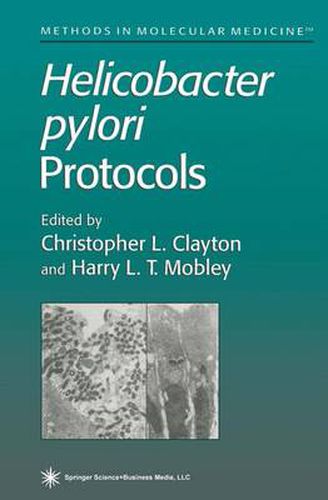 Cover image for Helicobacter pylori Protocols