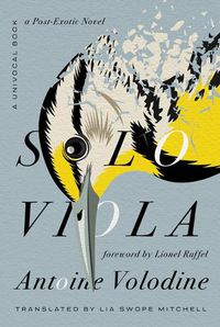 Cover image for Solo Viola: A Post-Exotic Novel