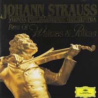 Cover image for Strauss Johann Essential 2cd Set